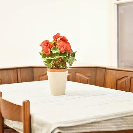 Charming Spacious Apartment Вена Экстерьер фото